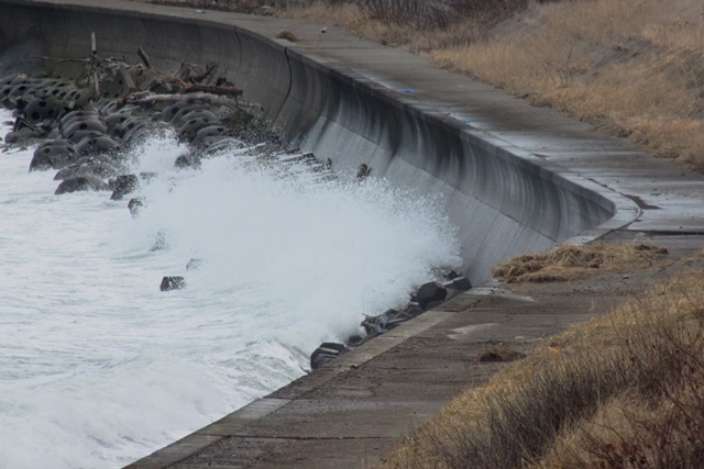 f:id:bihorokiyoshi:20211124050323j:plain