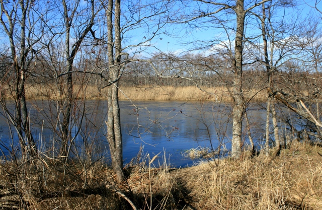 f:id:bihorokiyoshi:20211126054801j:plain