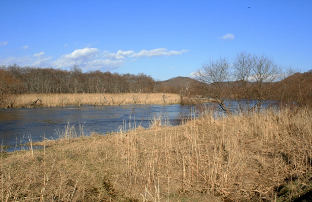 f:id:bihorokiyoshi:20211126054815j:plain