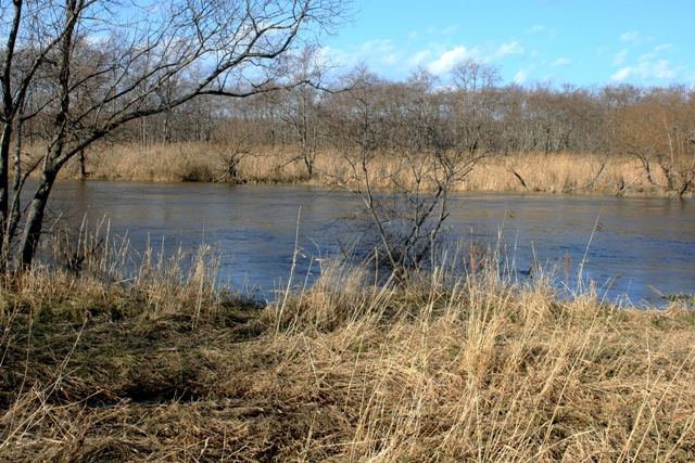 f:id:bihorokiyoshi:20211126054826j:plain