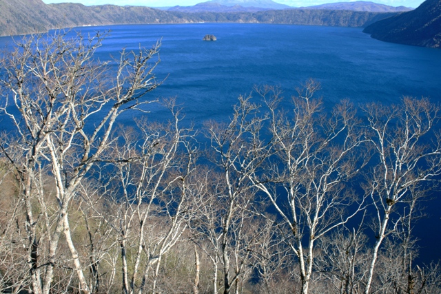 f:id:bihorokiyoshi:20211127052941j:plain