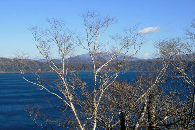 f:id:bihorokiyoshi:20211127053038j:plain