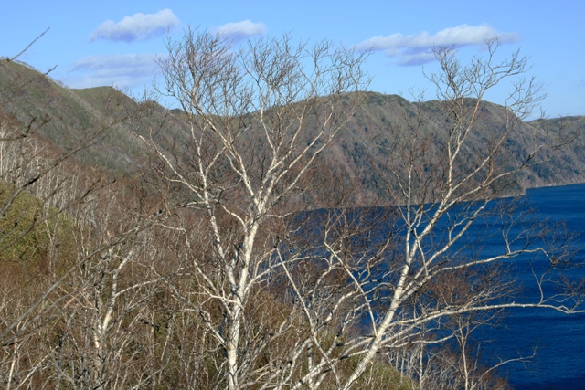 f:id:bihorokiyoshi:20211127053059j:plain