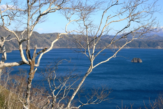 f:id:bihorokiyoshi:20211127053112j:plain