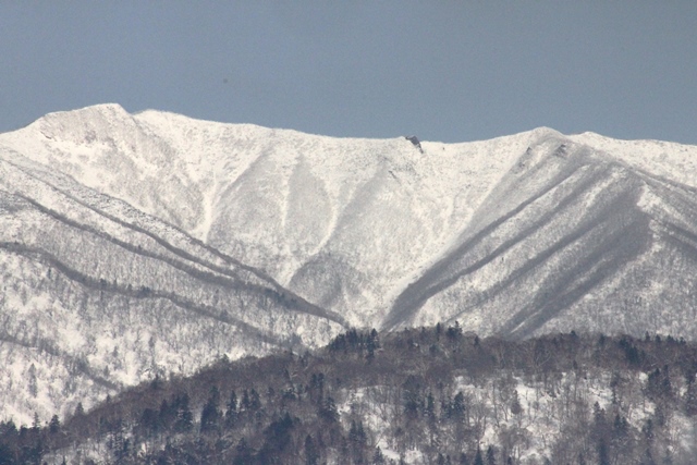 f:id:bihorokiyoshi:20211211064046j:plain