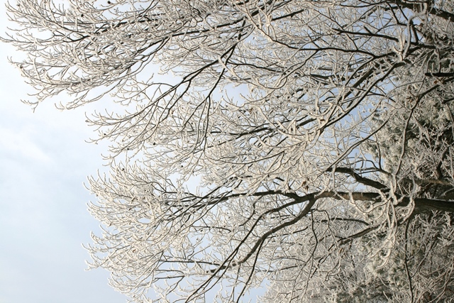 f:id:bihorokiyoshi:20211214065649j:plain