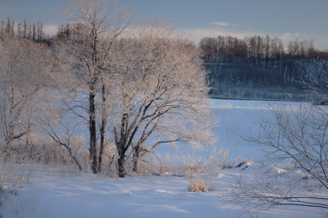 f:id:bihorokiyoshi:20211229072010j:plain