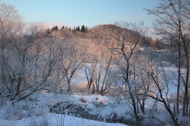 f:id:bihorokiyoshi:20211229072022j:plain