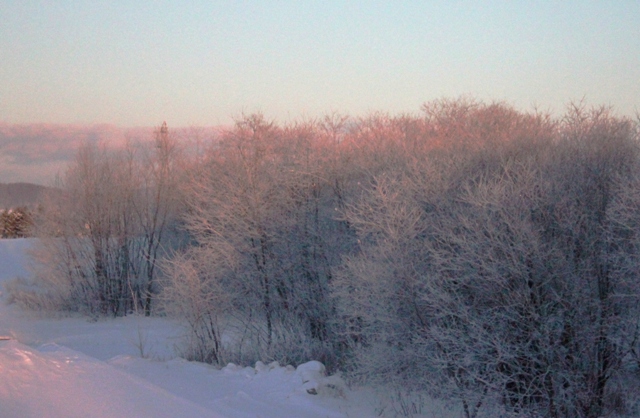 f:id:bihorokiyoshi:20211229072052j:plain