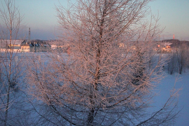 f:id:bihorokiyoshi:20211229072101j:plain