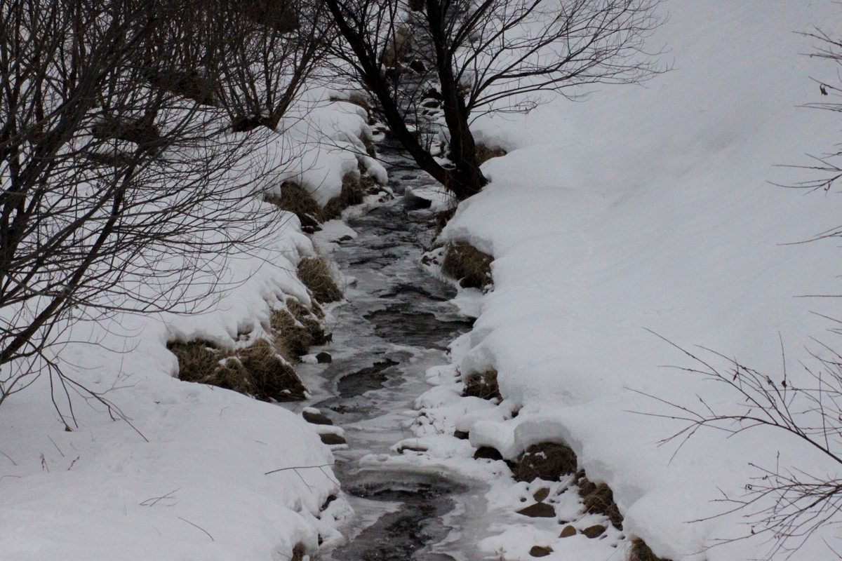 f:id:bihorokiyoshi:20220104083126j:plain