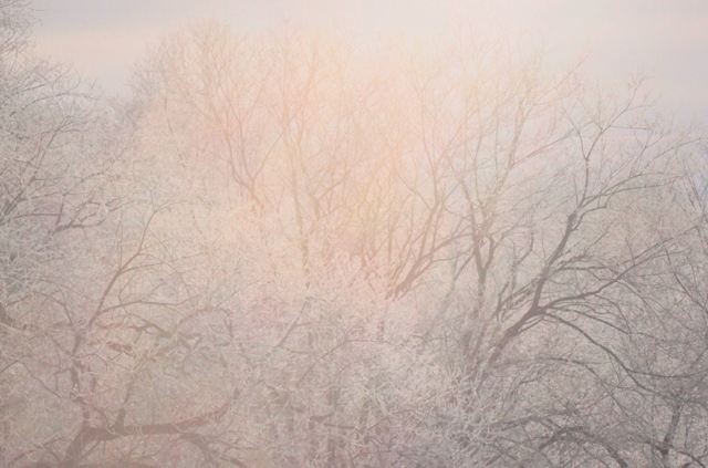 f:id:bihorokiyoshi:20220113083625j:plain