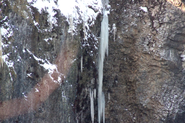 f:id:bihorokiyoshi:20220123082006j:plain