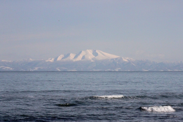 f:id:bihorokiyoshi:20220124074218j:plain