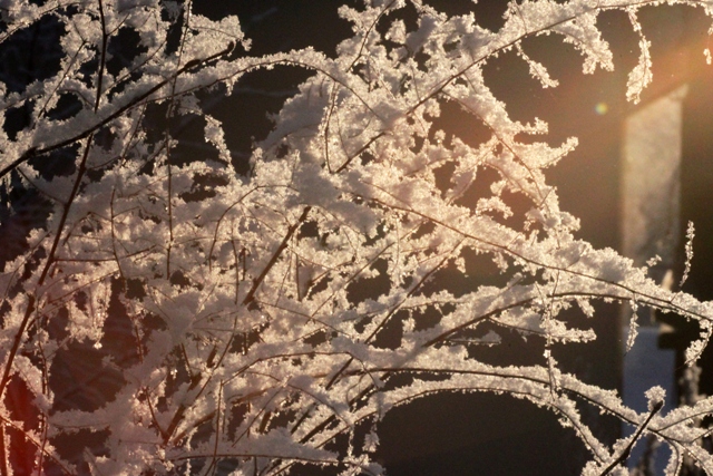 f:id:bihorokiyoshi:20220131085555j:plain