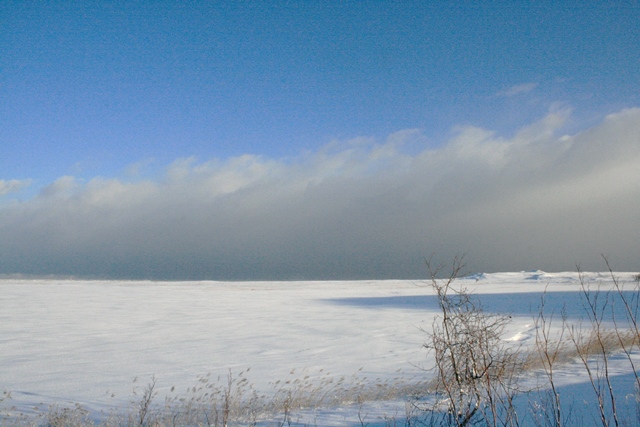 f:id:bihorokiyoshi:20220201080706j:plain