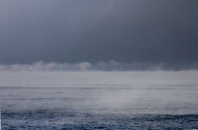 f:id:bihorokiyoshi:20220201080739j:plain