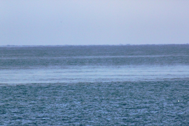 f:id:bihorokiyoshi:20220202075309j:plain