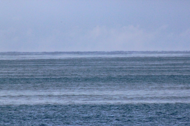 f:id:bihorokiyoshi:20220202075329j:plain