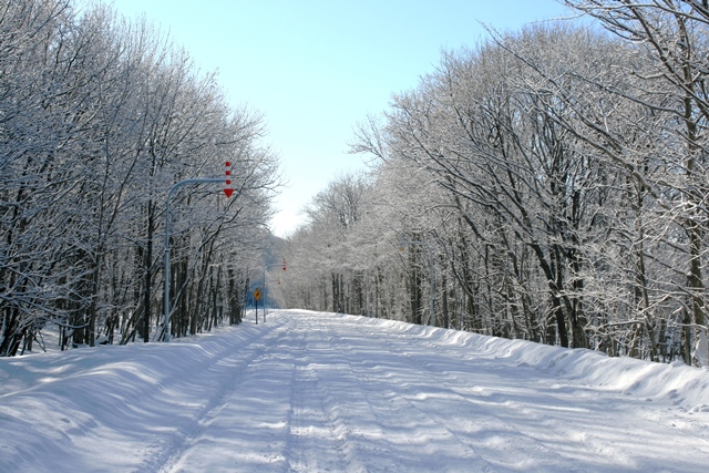 f:id:bihorokiyoshi:20220203073328j:plain