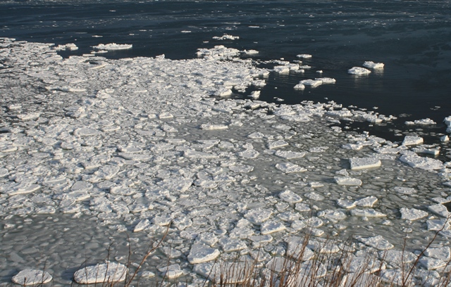 f:id:bihorokiyoshi:20220204075120j:plain