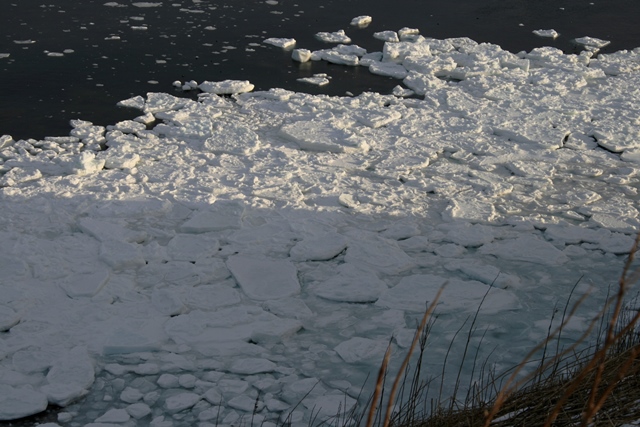 f:id:bihorokiyoshi:20220206062505j:plain