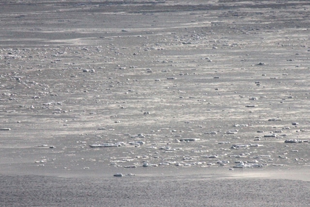 f:id:bihorokiyoshi:20220206062523j:plain