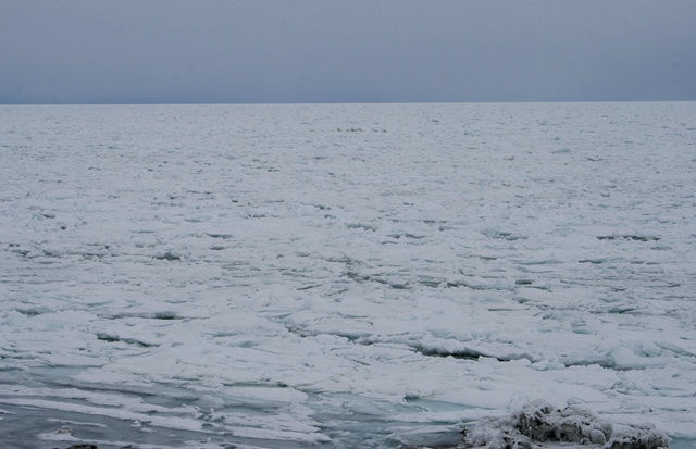 f:id:bihorokiyoshi:20220209075203j:plain