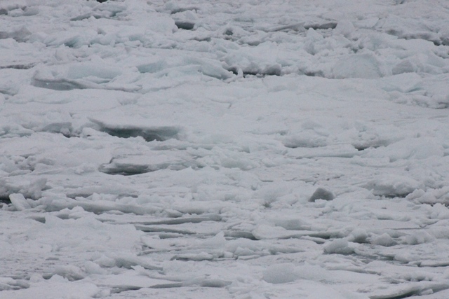 f:id:bihorokiyoshi:20220209075214j:plain