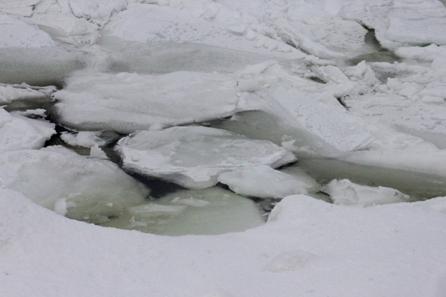 f:id:bihorokiyoshi:20220209075247j:plain