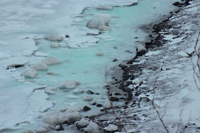 f:id:bihorokiyoshi:20220210072408j:plain