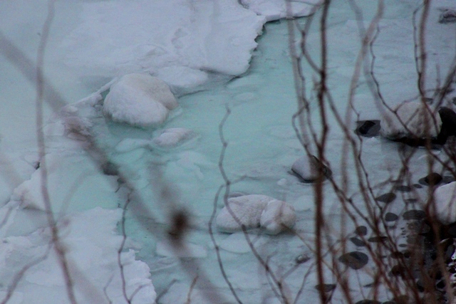 f:id:bihorokiyoshi:20220210072425j:plain