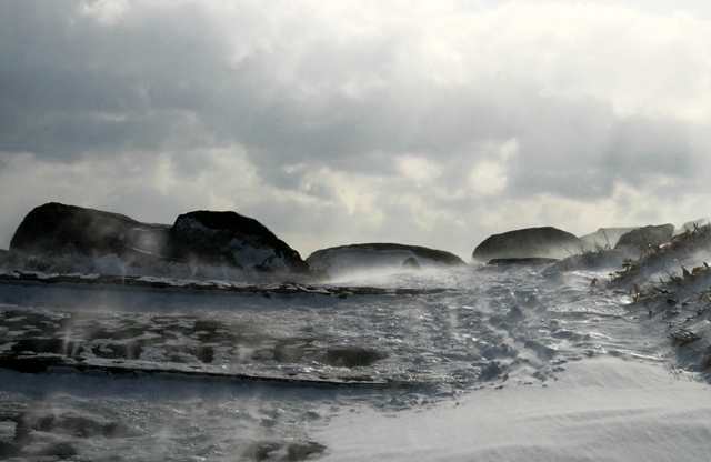 f:id:bihorokiyoshi:20220219075028j:plain