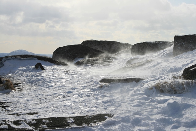 f:id:bihorokiyoshi:20220219075100j:plain