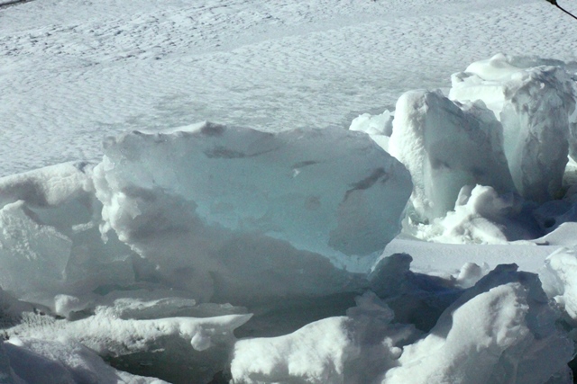 f:id:bihorokiyoshi:20220221064332j:plain