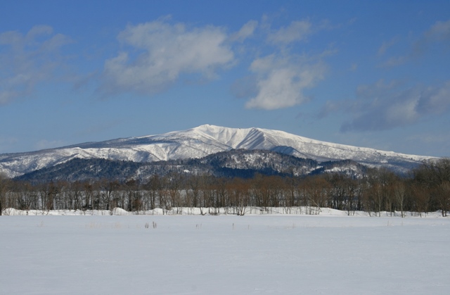 f:id:bihorokiyoshi:20220222074227j:plain