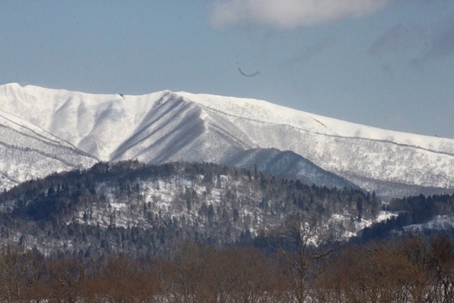 f:id:bihorokiyoshi:20220222074247j:plain