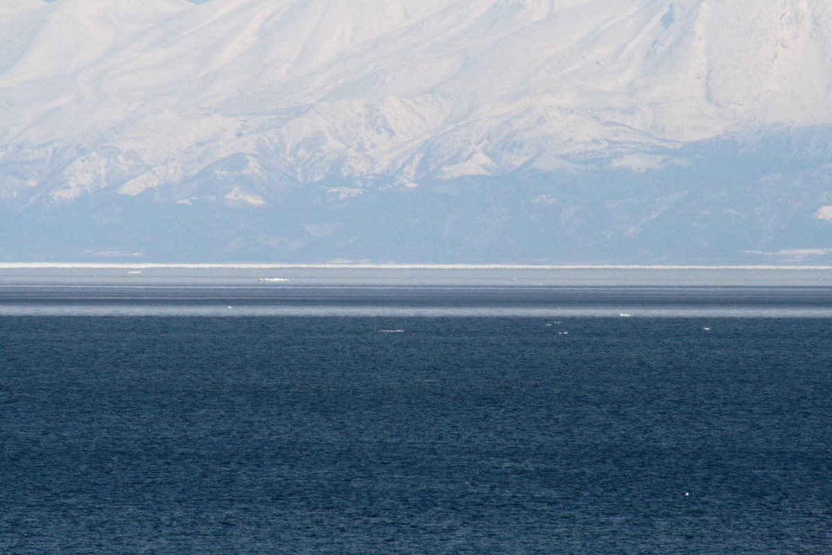 f:id:bihorokiyoshi:20220224084313j:plain