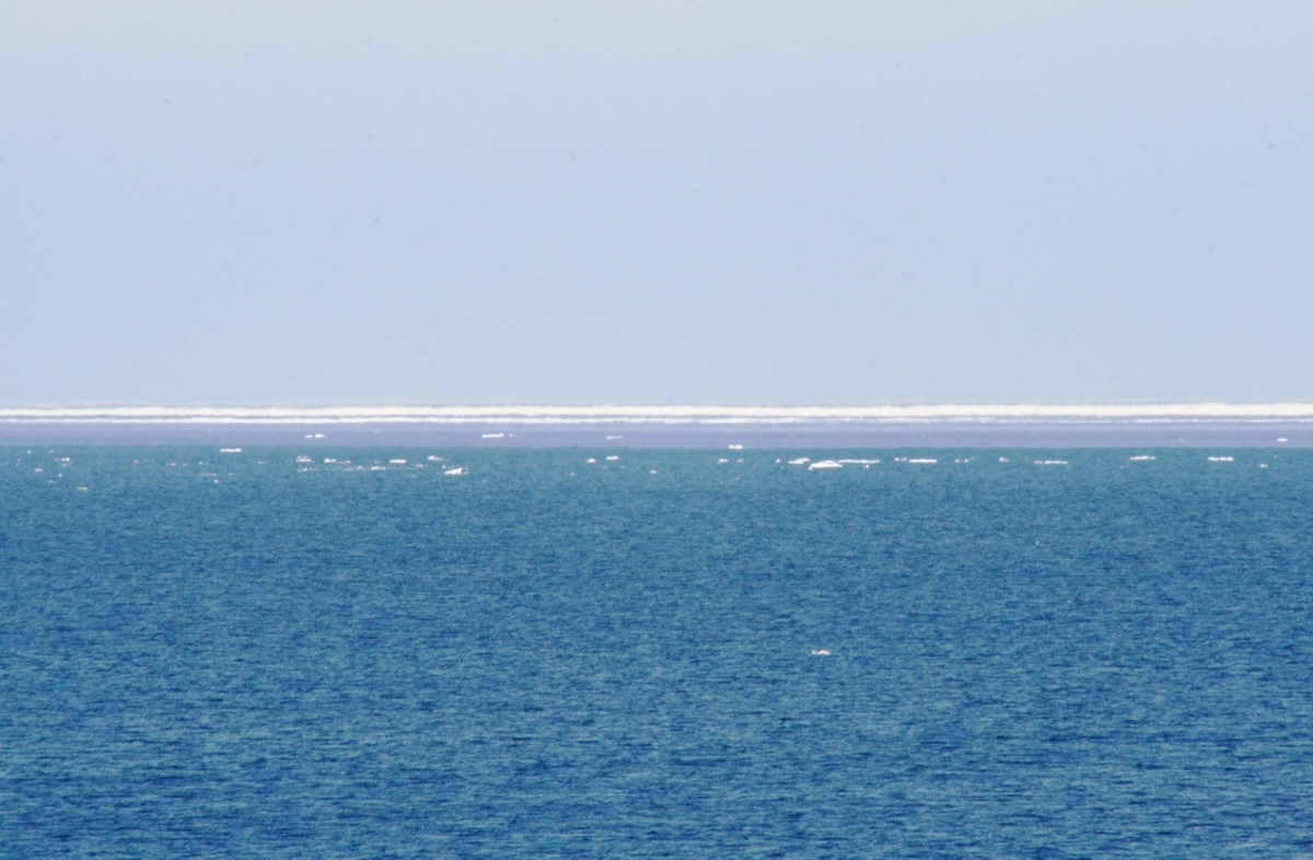 f:id:bihorokiyoshi:20220224085018j:plain