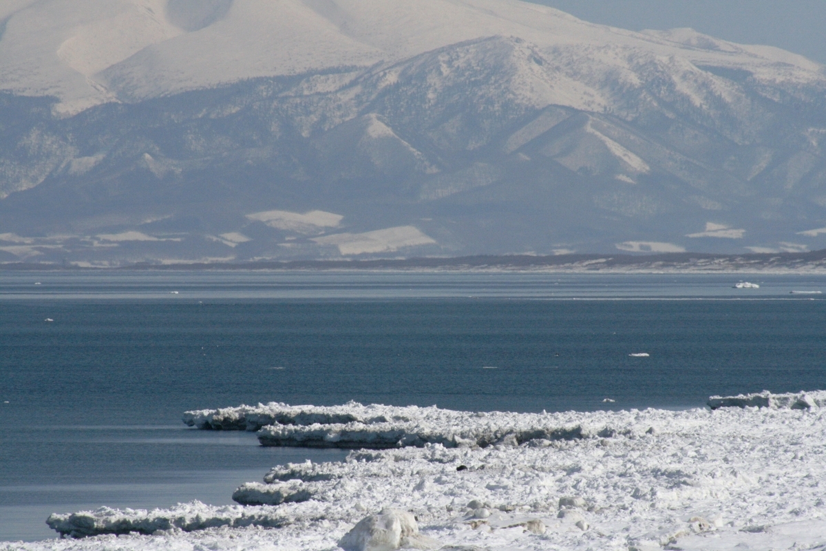 f:id:bihorokiyoshi:20220224085115j:plain