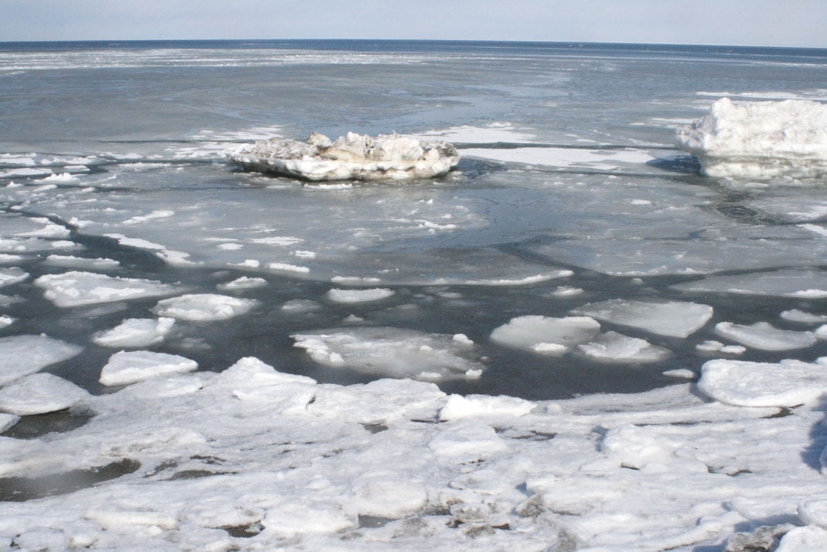 f:id:bihorokiyoshi:20220225084414j:plain