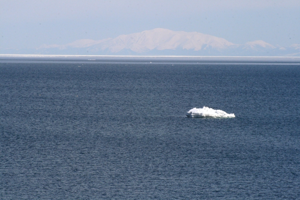 f:id:bihorokiyoshi:20220228070239j:plain