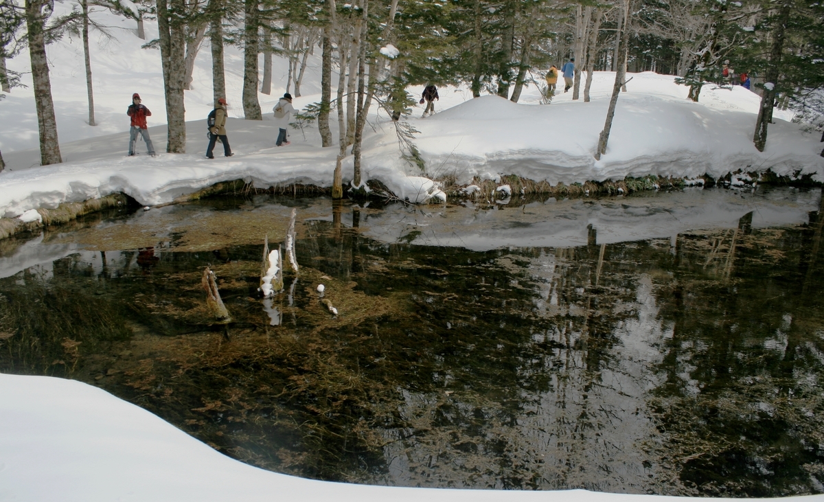 f:id:bihorokiyoshi:20220302074750j:plain