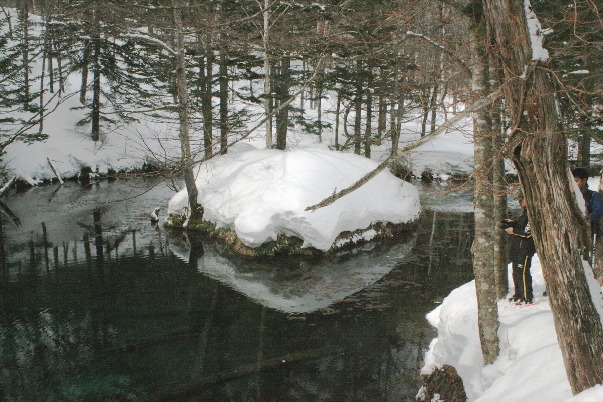 f:id:bihorokiyoshi:20220302074830j:plain