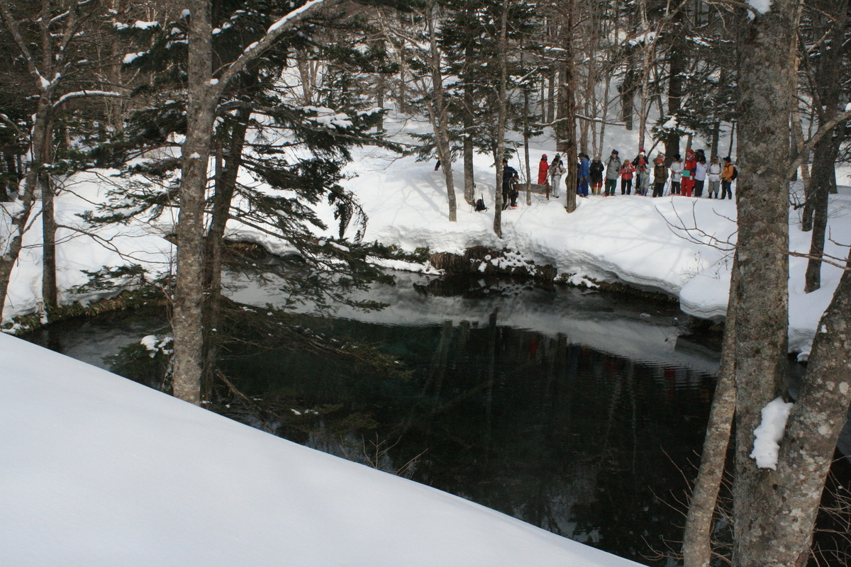 f:id:bihorokiyoshi:20220302074857j:plain