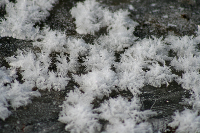 f:id:bihorokiyoshi:20220306072926j:plain