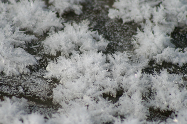 f:id:bihorokiyoshi:20220306072943j:plain