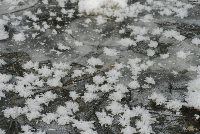 f:id:bihorokiyoshi:20220306073000j:plain