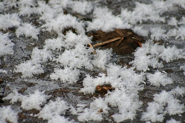 f:id:bihorokiyoshi:20220306073015j:plain