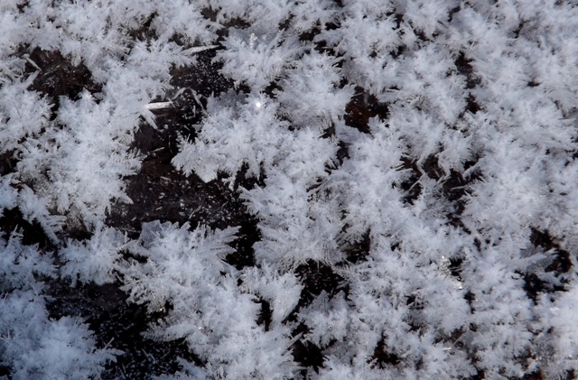 f:id:bihorokiyoshi:20220306073330j:plain